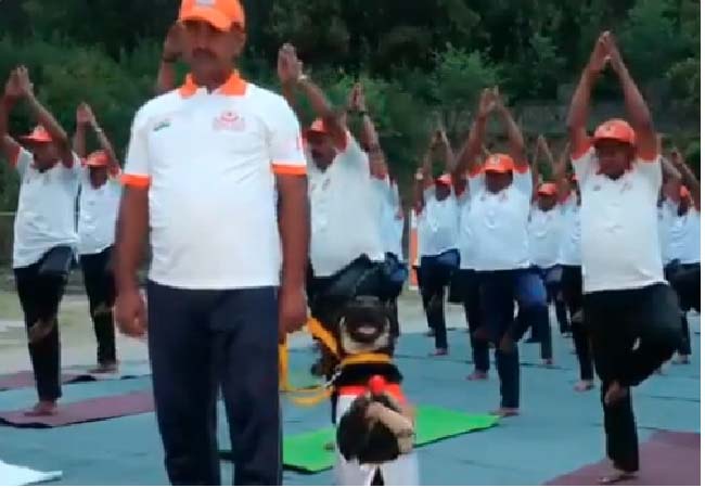 Furry Guru Alert: Pariah Dog Wows NDRF With Yoga Moves!