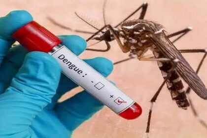 Dengue vaccine will be available in the market soon.