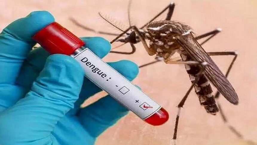 Dengue vaccine will be available in the market soon.