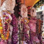 Lord Jagannath's chariot procession started in Prayagraj