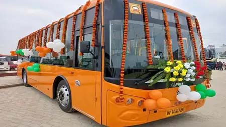 54 city buses will run on 6 routes for mango festival