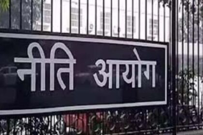 The Centre reorganised the NITI Aayog, leaders of BJP and its allies also got a place