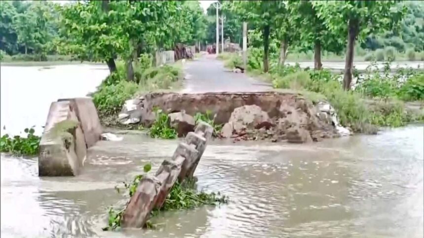 Another bridge collapses in Araria, Bihar: No casualties reported