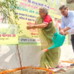 Cricketers will hit fours and sixes in the green stadium, players planted saplings along with the mayor