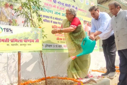 Cricketers will hit fours and sixes in the green stadium, players planted saplings along with the mayor