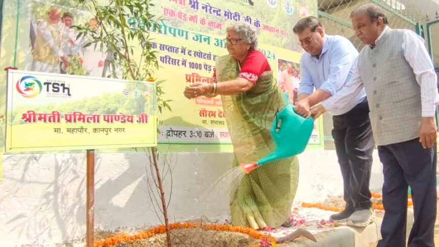 Cricketers will hit fours and sixes in the green stadium, players planted saplings along with the mayor