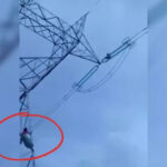 A young man climbed an electricity tower after quarreling with his wife, officials were left helpless; high voltage drama continued for hours