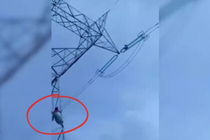 A young man climbed an electricity tower after quarreling with his wife, officials were left helpless; high voltage drama continued for hours