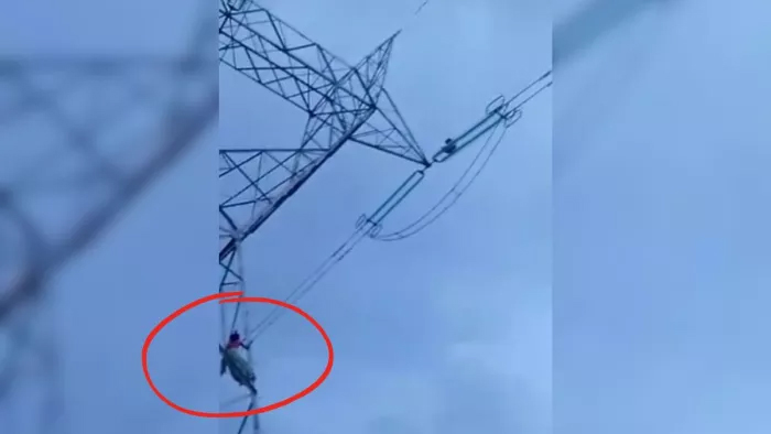 A young man climbed an electricity tower after quarreling with his wife, officials were left helpless; high voltage drama continued for hours