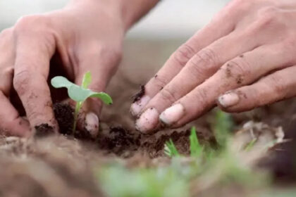 Farmers can cultivate good crops through Soil Health Card Scheme