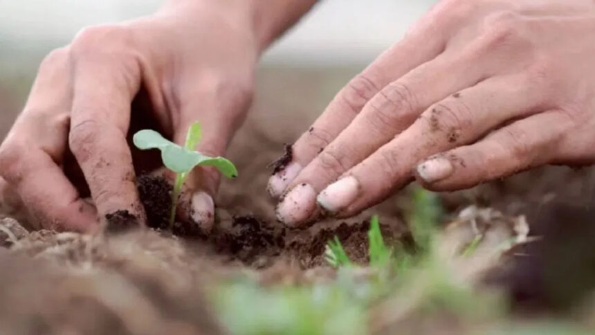 Farmers can cultivate good crops through Soil Health Card Scheme