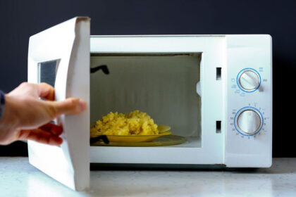 Microwave Ovens: Hidden Microbes Discovered