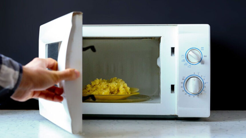 Microwave Ovens: Hidden Microbes Discovered