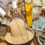 Farmers who sold wheat worth Rs 3 lakh are also getting free ration, now action will be taken