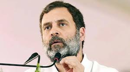 I protect democracy in the country, my goal is to remove the pain and suffering from the hearts of the people of Jammu and Kashmir, Rahul Gandhi said in Srinagar