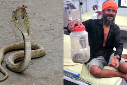 'Doctor sahab, it bit me', a man reached the hospital after locking the cobra in a toffee box