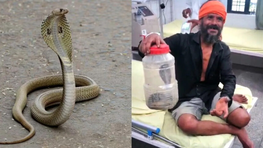 'Doctor sahab, it bit me', a man reached the hospital after locking the cobra in a toffee box