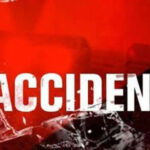 A horrific road accident while trying to save a cow, four people died