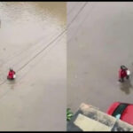 Zomato delivery agent delivers food by walking through flood waters in Ahmedabad