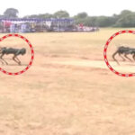 Spider robot attacked enemies: Amazing feats in Lucknow military ceremony, commandos landed from helicopter