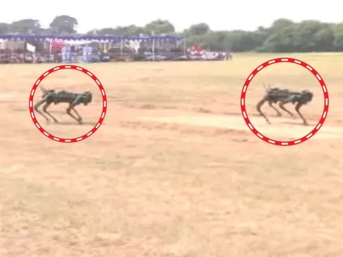 Spider robot attacked enemies: Amazing feats in Lucknow military ceremony, commandos landed from helicopter